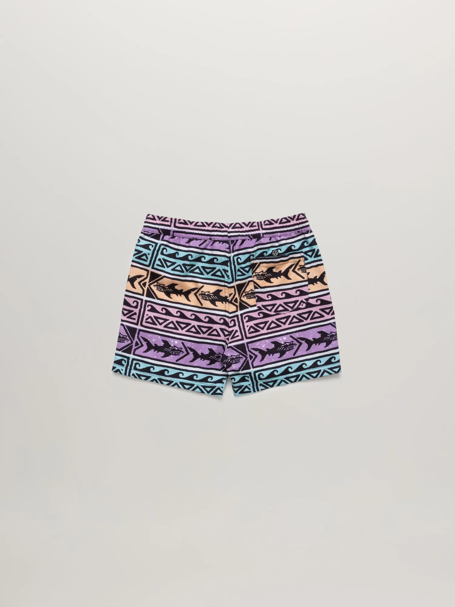 Bam Bam Boys Pool Shorts