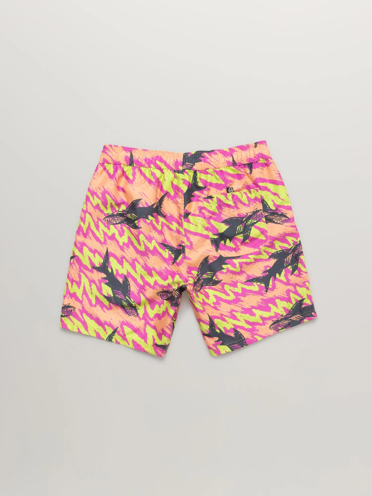 Frenzy Pool Shorts